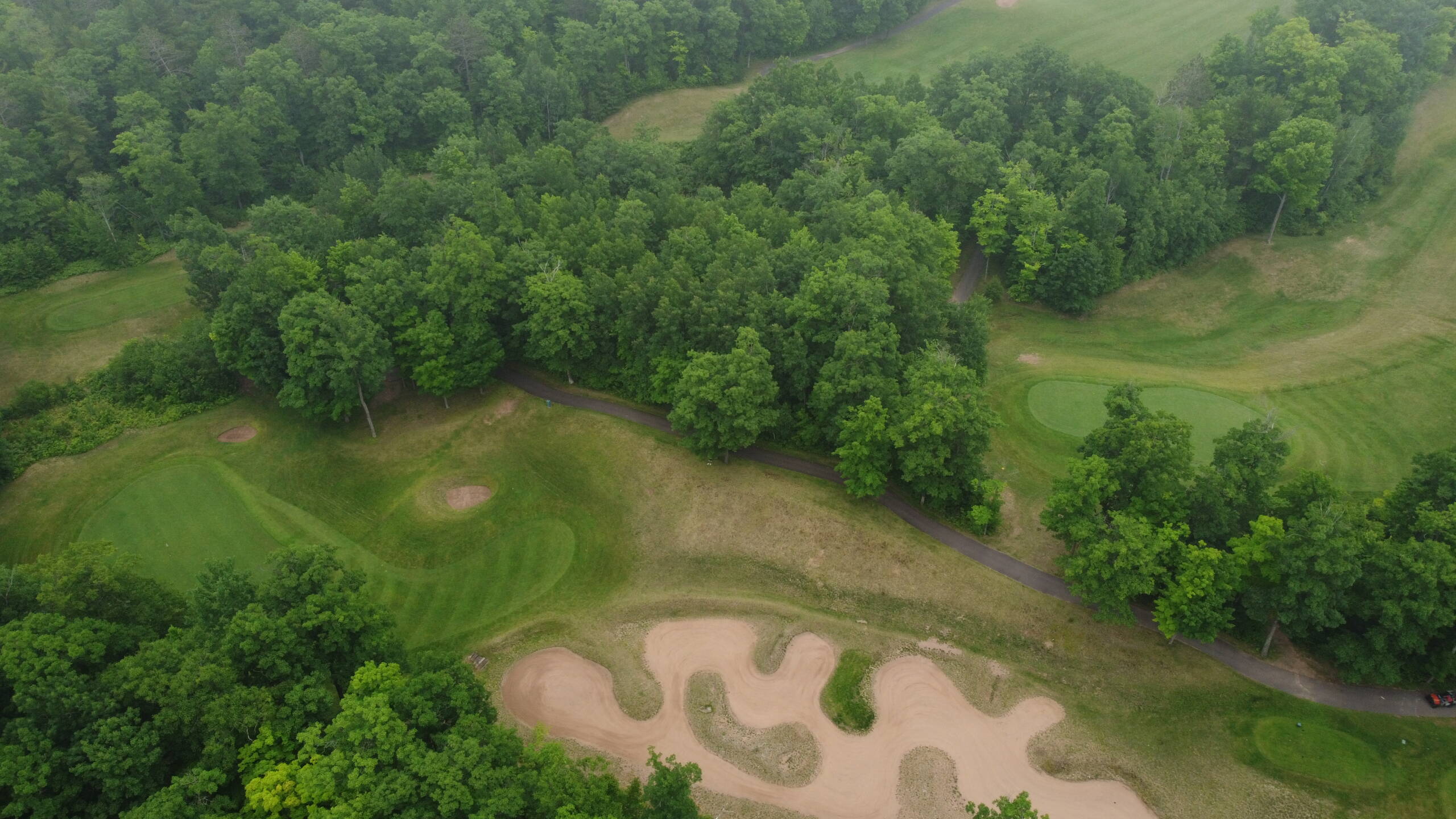 Green framed by winding bunkers and hardwood forest