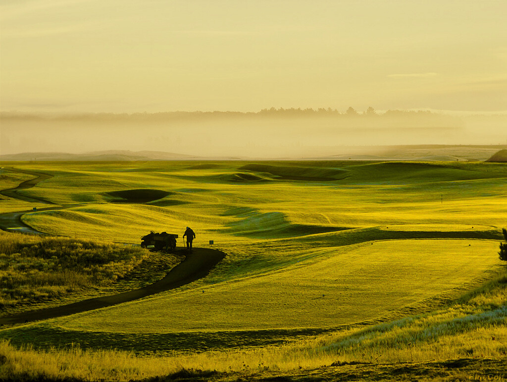 Golfer and cart on a rolling fairway at sunrise, mist over the Northwoods